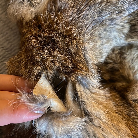 Damaged Rabbit Jacket - Picture 6 of 6